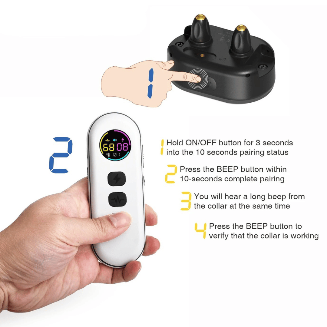 Long Range Remote Dog Training Collar for All Sizes