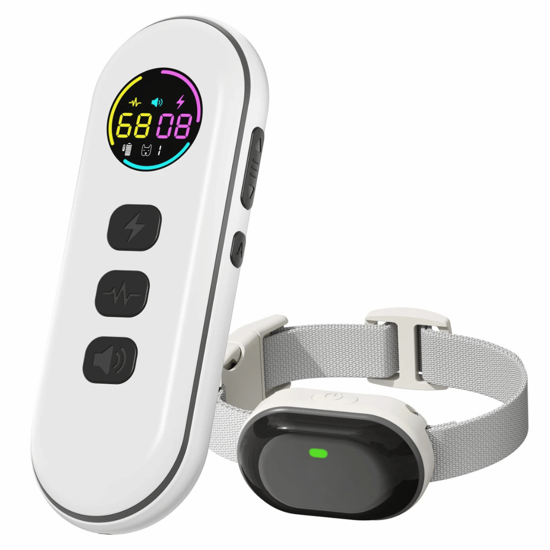 Long Range Remote Dog Training Collar for All Sizes