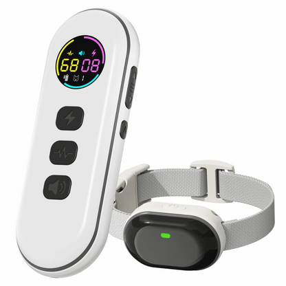 Long Range Remote Dog Training Collar for All Sizes