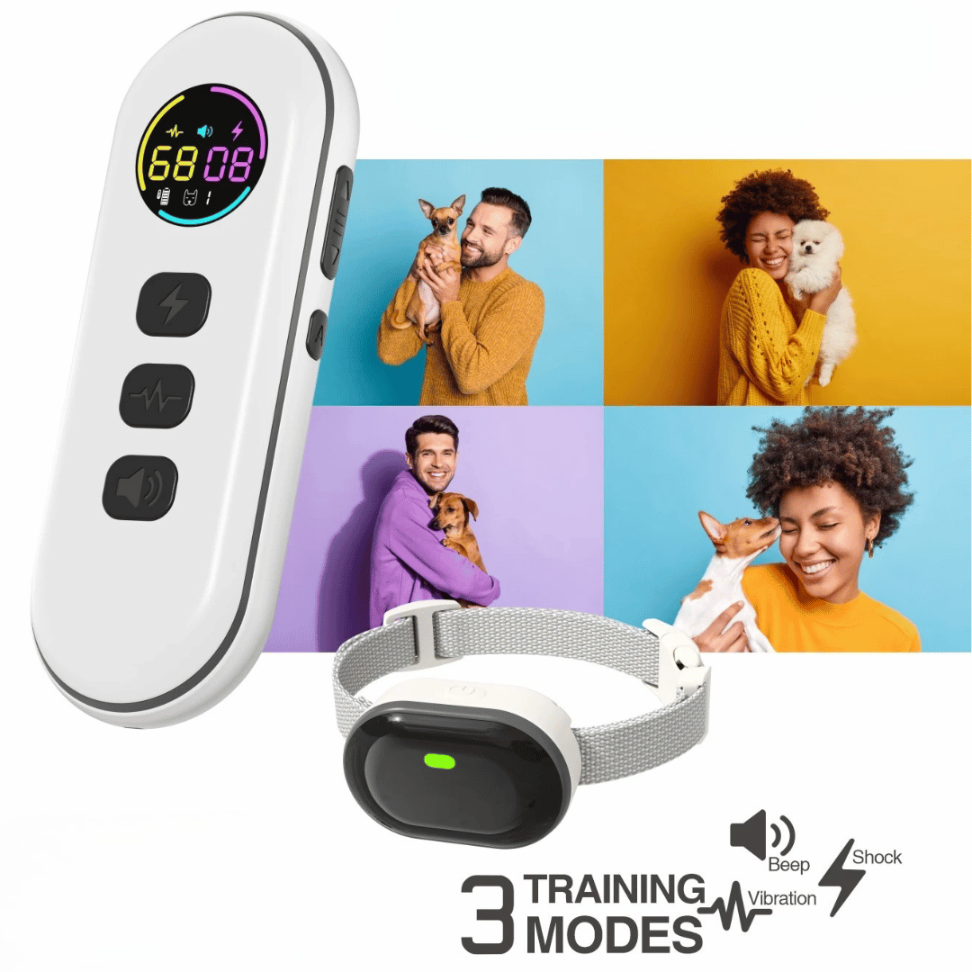 Long Range Remote Dog Training Collar for All Sizes