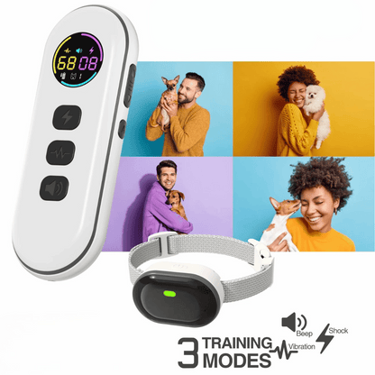 Long Range Remote Dog Training Collar for All Sizes