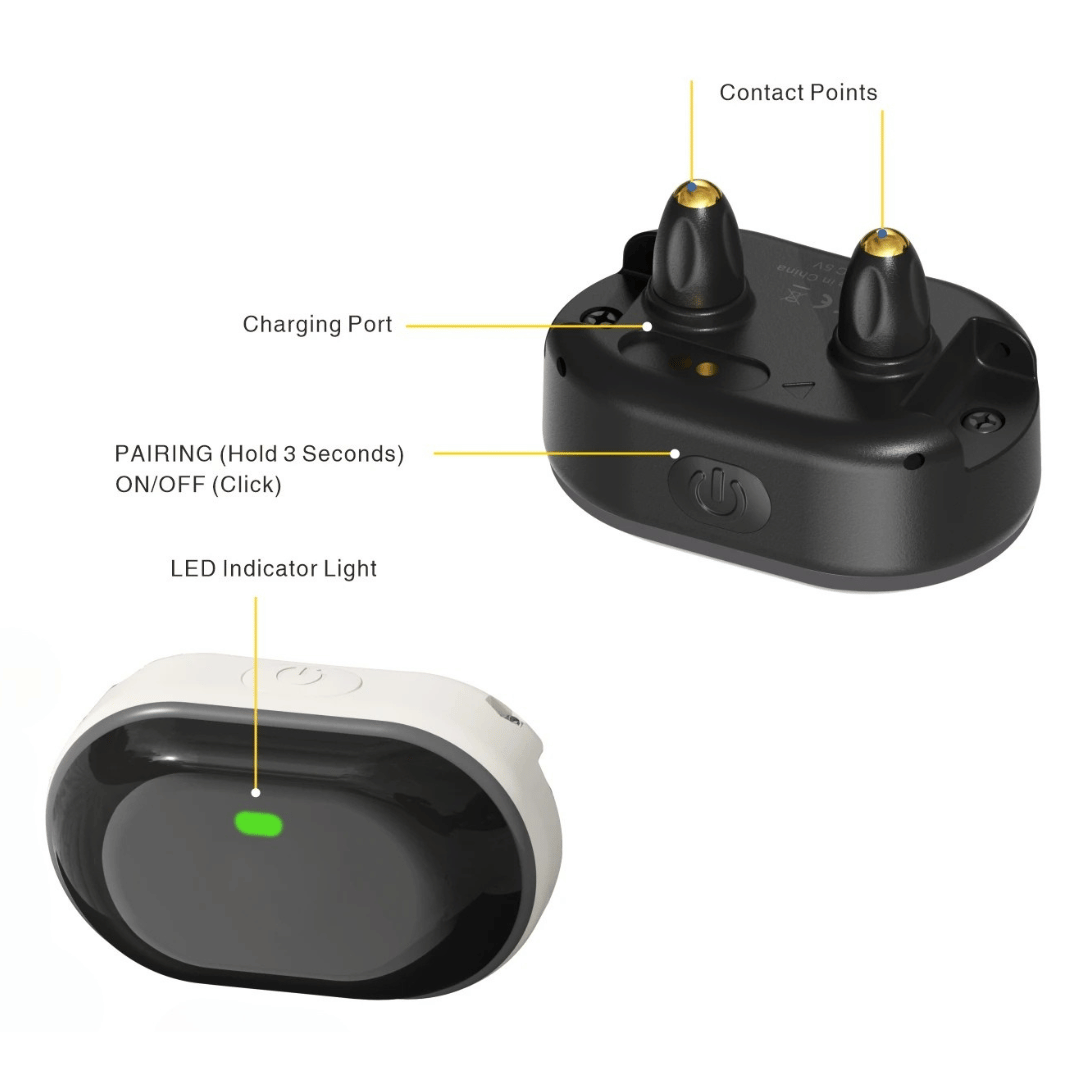 Long Range Remote Dog Training Collar for All Sizes