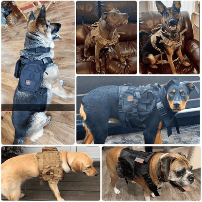 Tough Dog Training Vest with Leash and Pouch Set