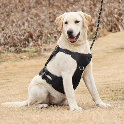 Durable Outdoor Dog Vest with Handle for Large Breeds