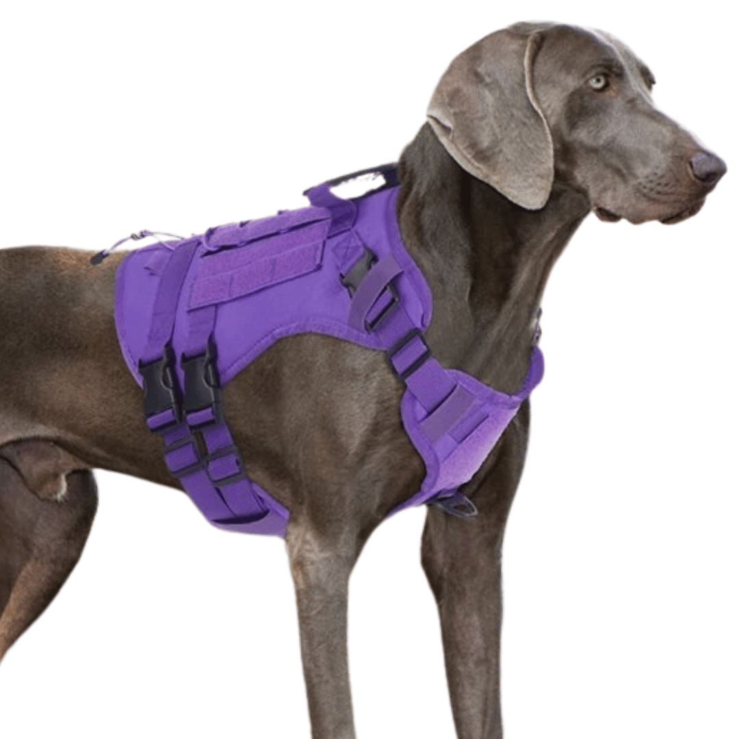 Durable Heavy-Duty Dog Vest with Handle for Large Breeds
