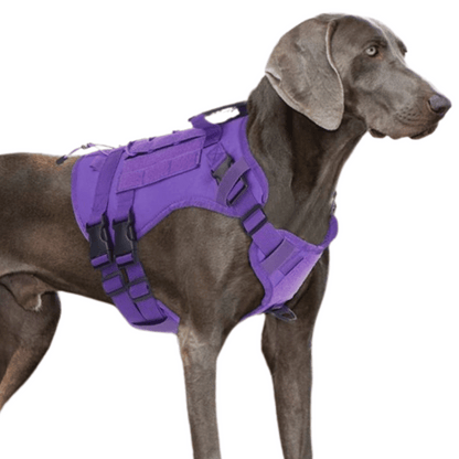 Durable Heavy-Duty Dog Vest with Handle for Large Breeds