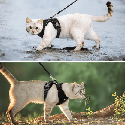 Comfortable Breathable Cat Harness Leash Set