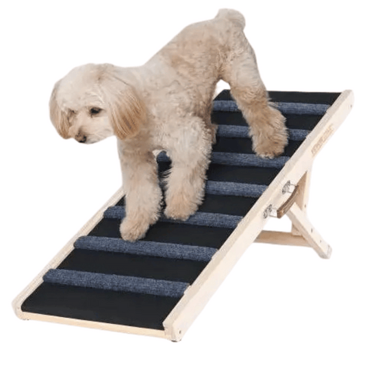 Portable Pet Step Ramp for Dogs and Pets - LifyPet