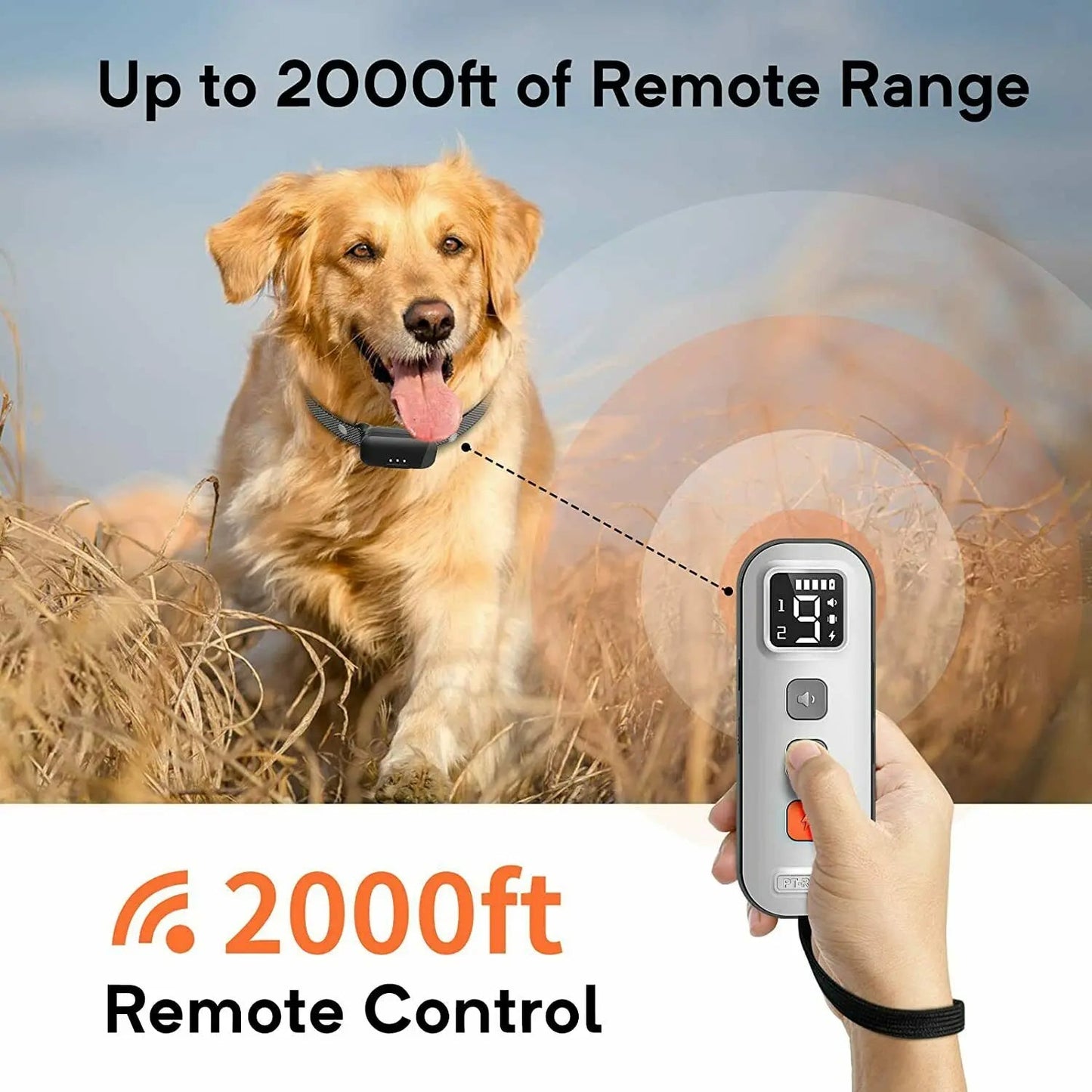 Long Range Dog Training Collar with Big Screen Remote