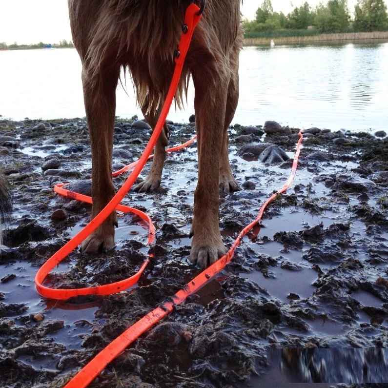Durable Long Dog Leash Made From Water Resistant PVC