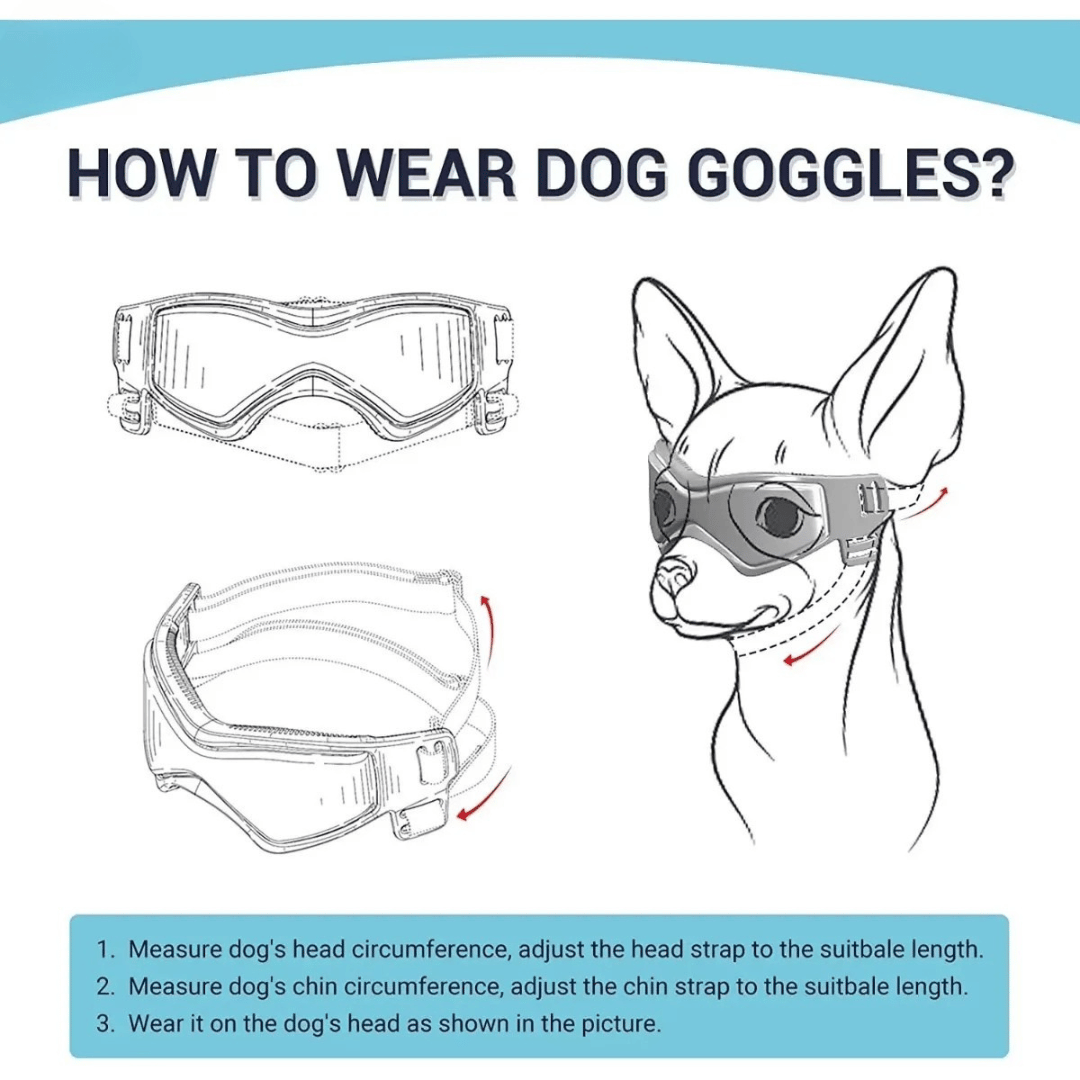 Pet Dog Shades for Small Breeds Protection