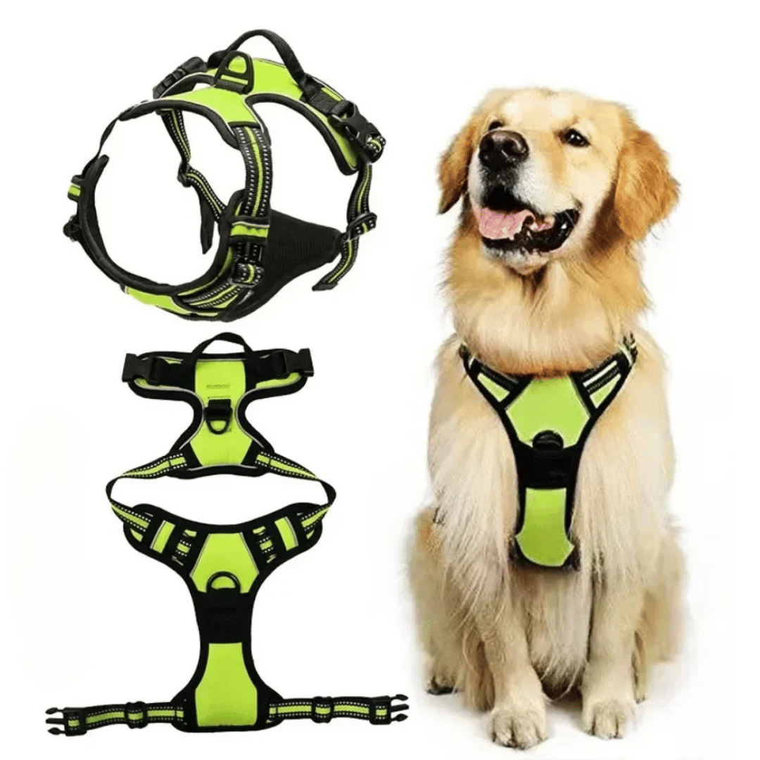 Puppy Walking Harness with Reflective Safety Straps