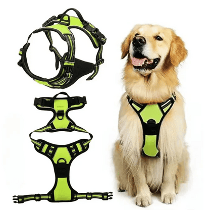 Puppy Walking Harness with Reflective Safety Straps