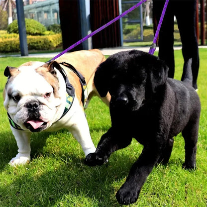Extra Long Pet Leash Extender with Tangle Free Swivel Clip