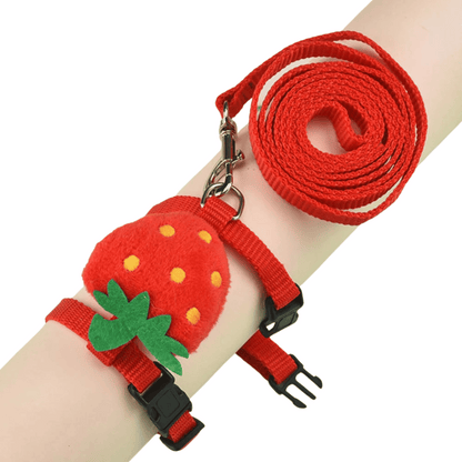 Comfortable Bunny Harness and Leash Set