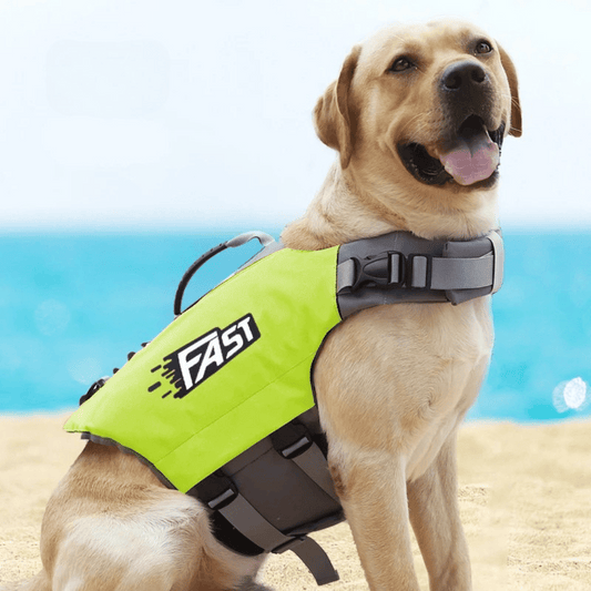 Pet Life Preserver Vest for Dogs Swimming - LifyPet