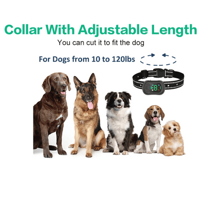 Effective Remote Dog Trainer with Voice, Vibe & Shock Alerts