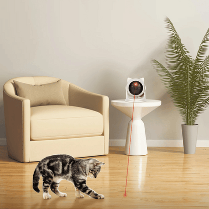 Fun Interactive Laser Pet Toy