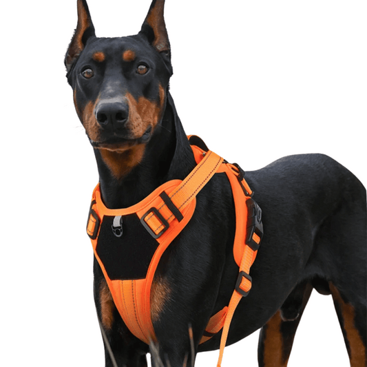 Comfortable Puppy Training Harness with Reflective Padded Vest - LifyPet
