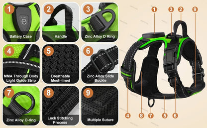 Visible LED Dog Vest for Nighttime Walking Safety