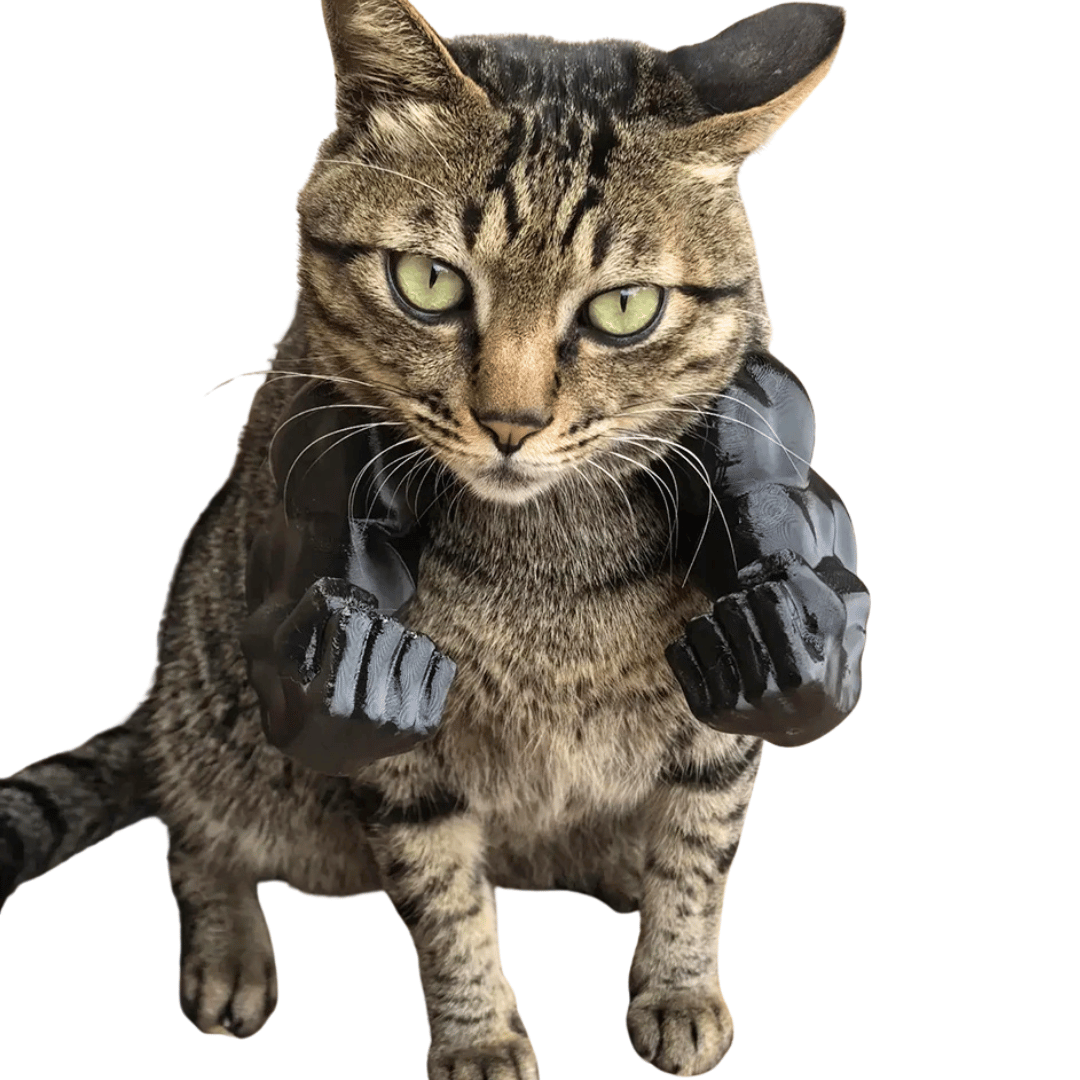 Funny Cat Bodybuilder Costume Arms