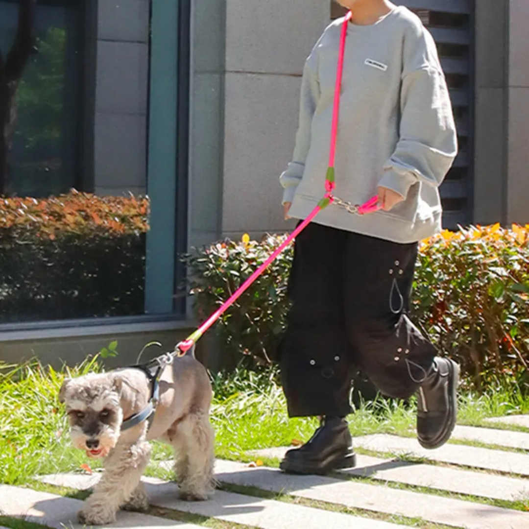Durable Reflective Dog Leash for Big Dogs Running Walking