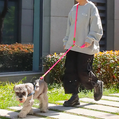Durable Reflective Dog Leash for Big Dogs Running Walking