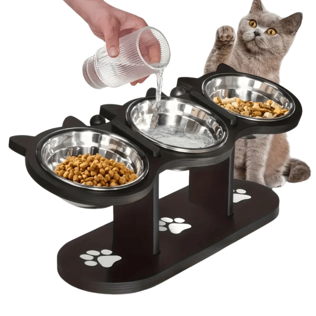 Elevated Cat Feeder with 3 Dish Stainless Steel Bowls - LifyPet