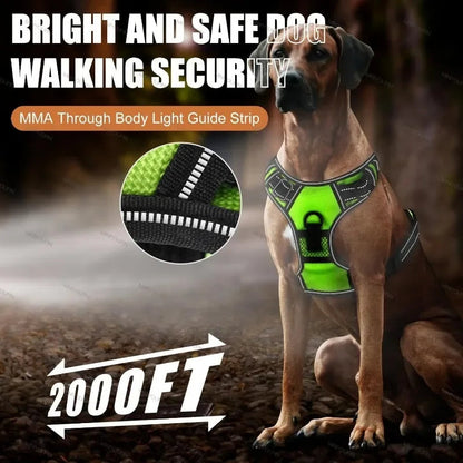 Visible LED Dog Vest for Nighttime Walking Safety