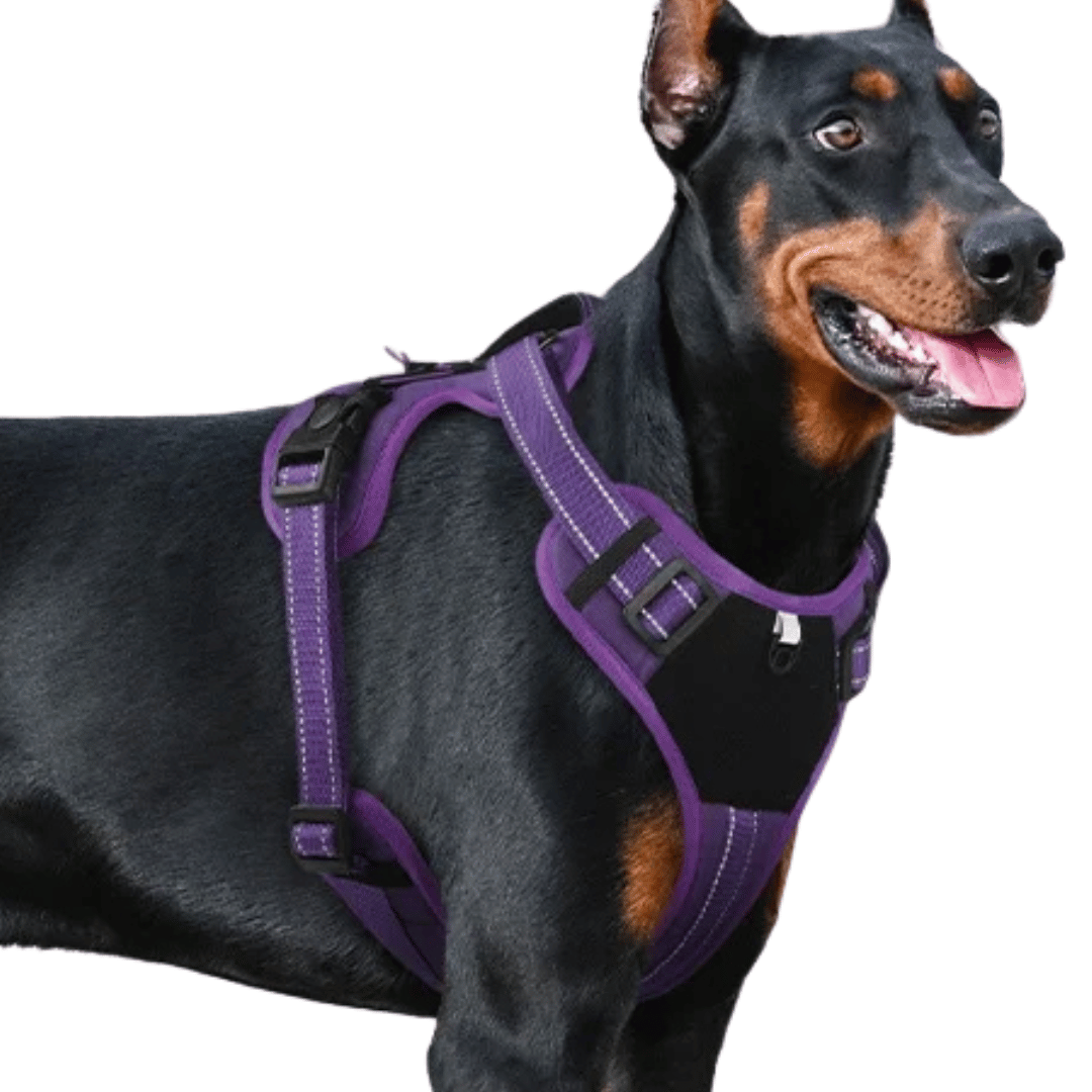 Comfortable Puppy Training Harness with Reflective Padded Vest