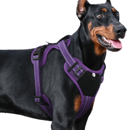 Comfortable Puppy Training Harness with Reflective Padded Vest
