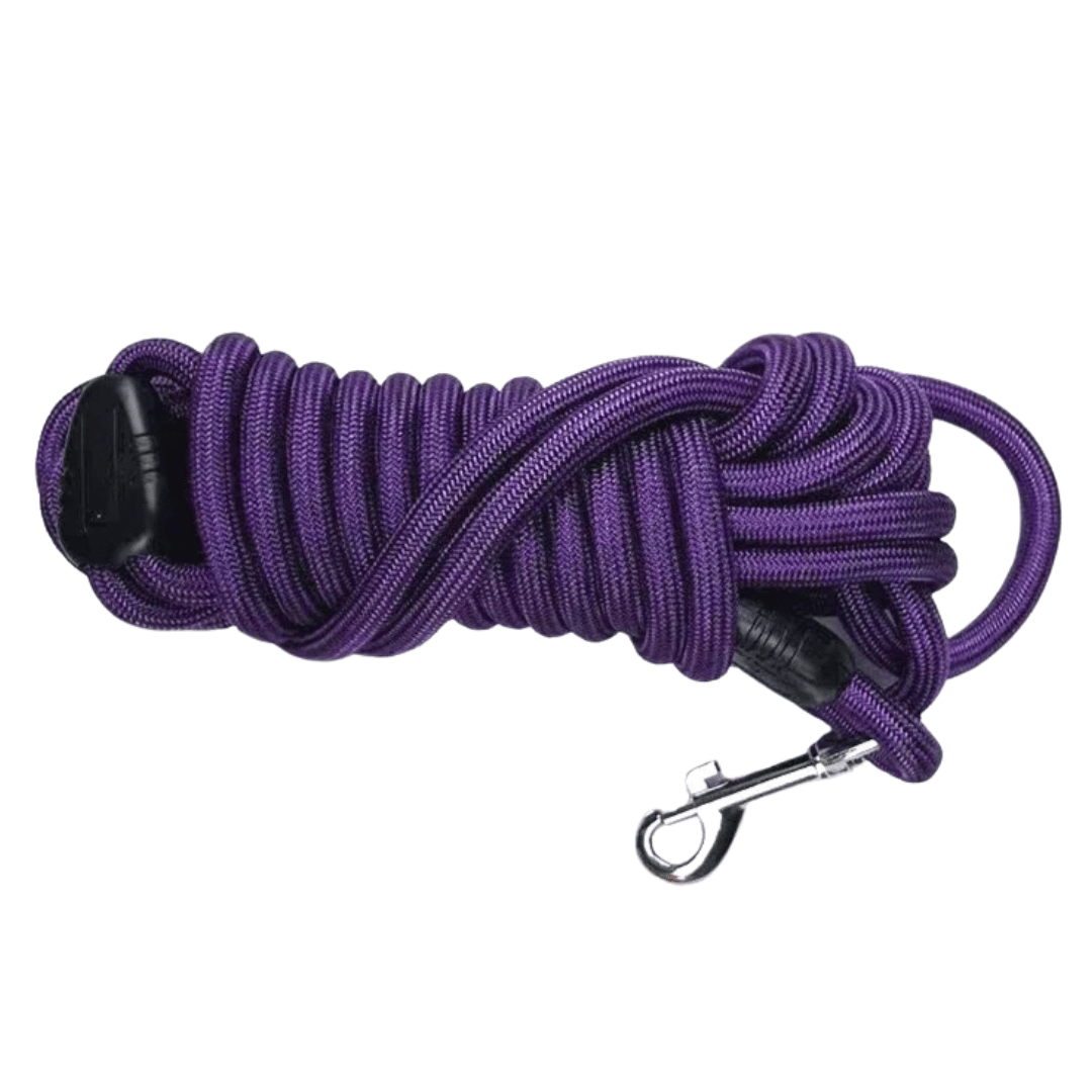 Heavy Duty Extended Dog Leash with Thick Rope