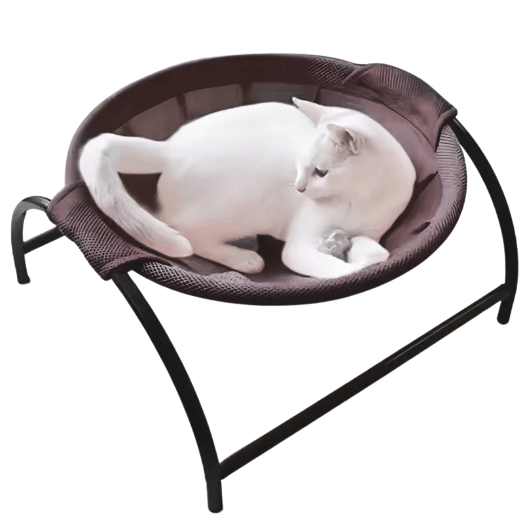 Sturdy Wooden Cat Hammock Bed with Solid Frame - LifyPet