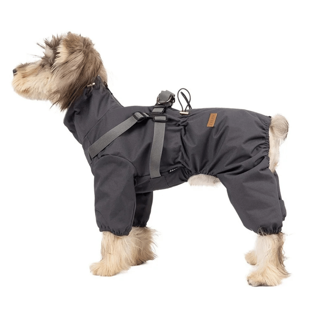 Waterproof Pet Coat with Built-In Dog Harness - LifyPet