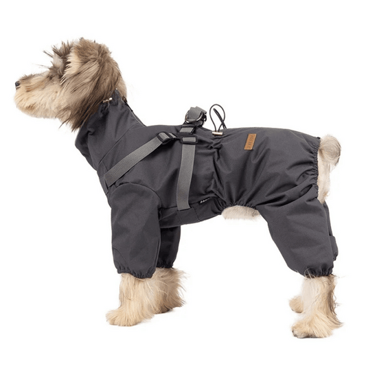 Waterproof Pet Coat with Built-In Dog Harness - LifyPet