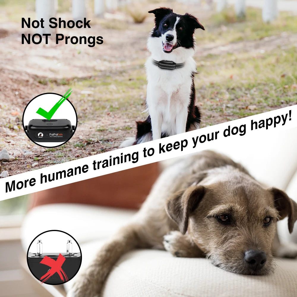 Gentle Dog Training Collar with Remote Vibrate Alert