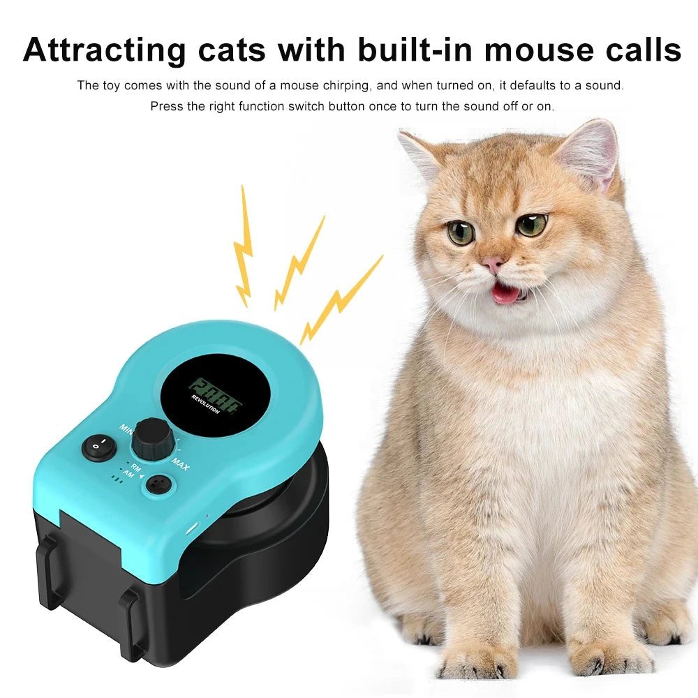 Fun Cat Laser Pointer Toy