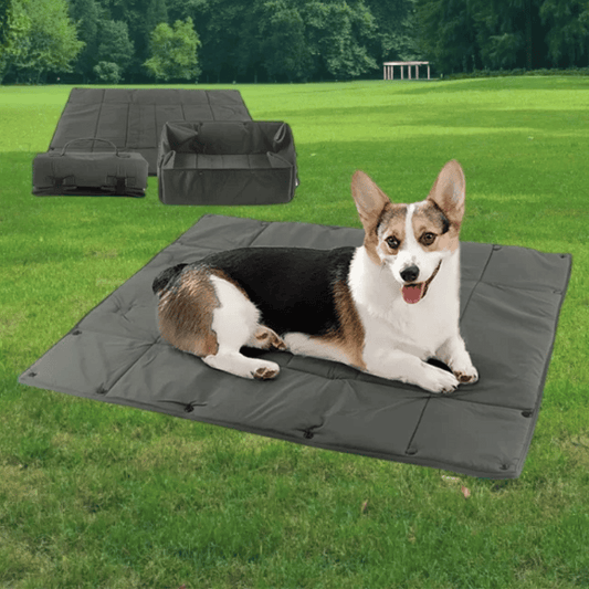 Compact Foldable Pet Bed & Carrier for Outdoor Use - LifyPet