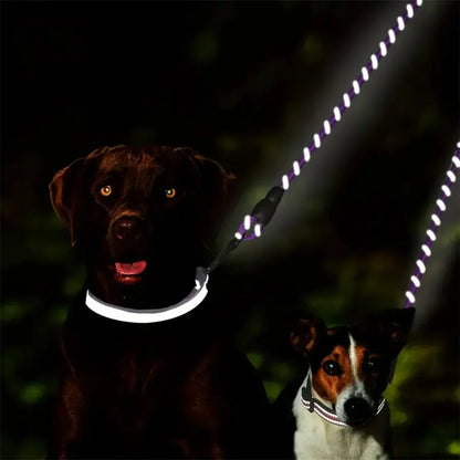 Extra Long Pet Leash Extender with Tangle Free Swivel Clip