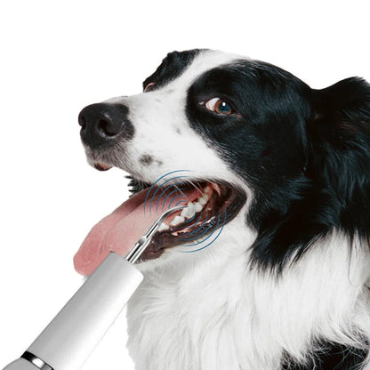 Pet Dental Care Kit for Dogs Teeth Cleaning