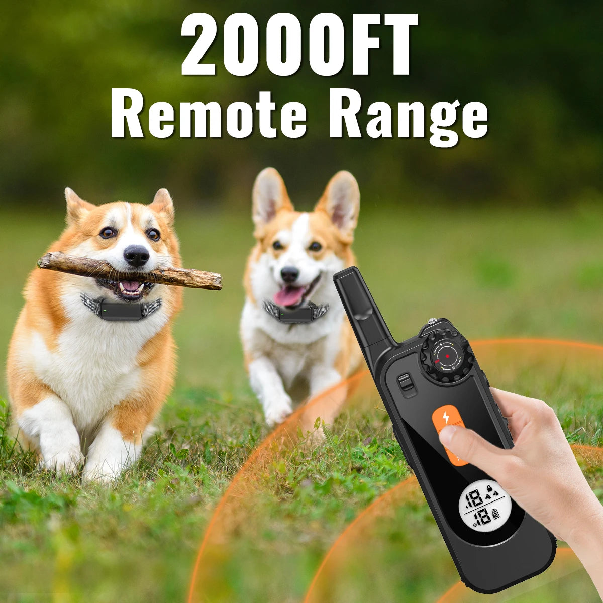 Waterproof Remote Dog Training Collar with Flashlight