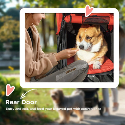 Durable Pet Stroller with Cargo Compartment for Walking