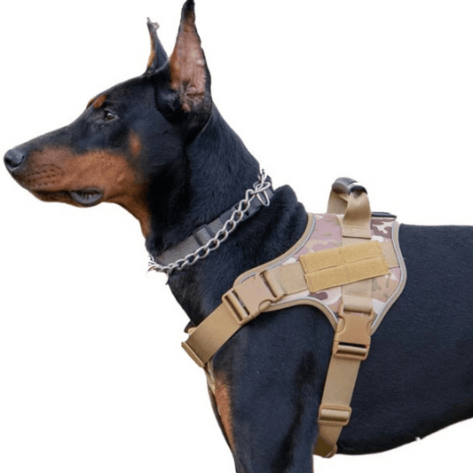 Durable Dog Training Vest with Heavy Duty Harness - LifyPet