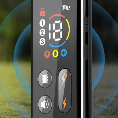 Long Range Dog Training Collar with Color LCD Remote