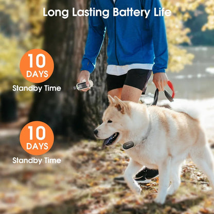 Waterproof Rechargeable Dog Trainer Collar with Remote