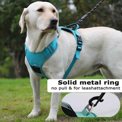 Durable Padded Dog Harness with Leash Clip and ID Holder