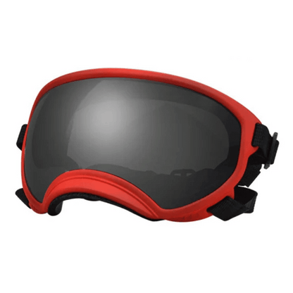 Trendy Pet Shades | Waterproof Dog Sun Glasses