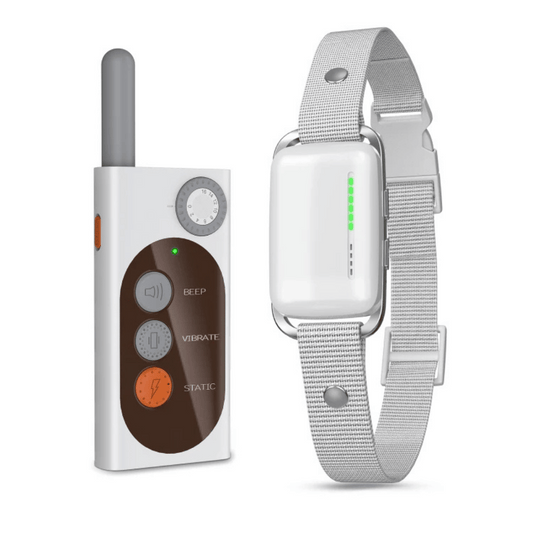 Rechargeable Long Range Electric Dog Training Collar - LifyPet
