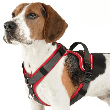 Durable Puppy Vest with Secure Grip for Safe Walking