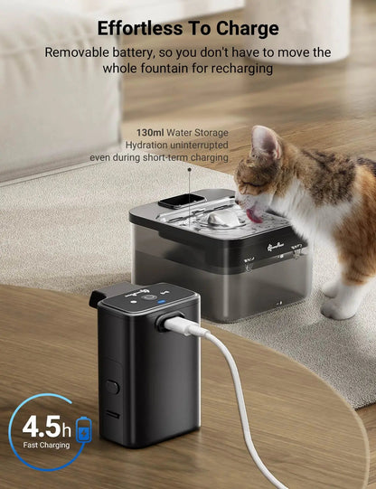 Silent Pet Fountain with Auto Sensor & Stainless Steel Bowl